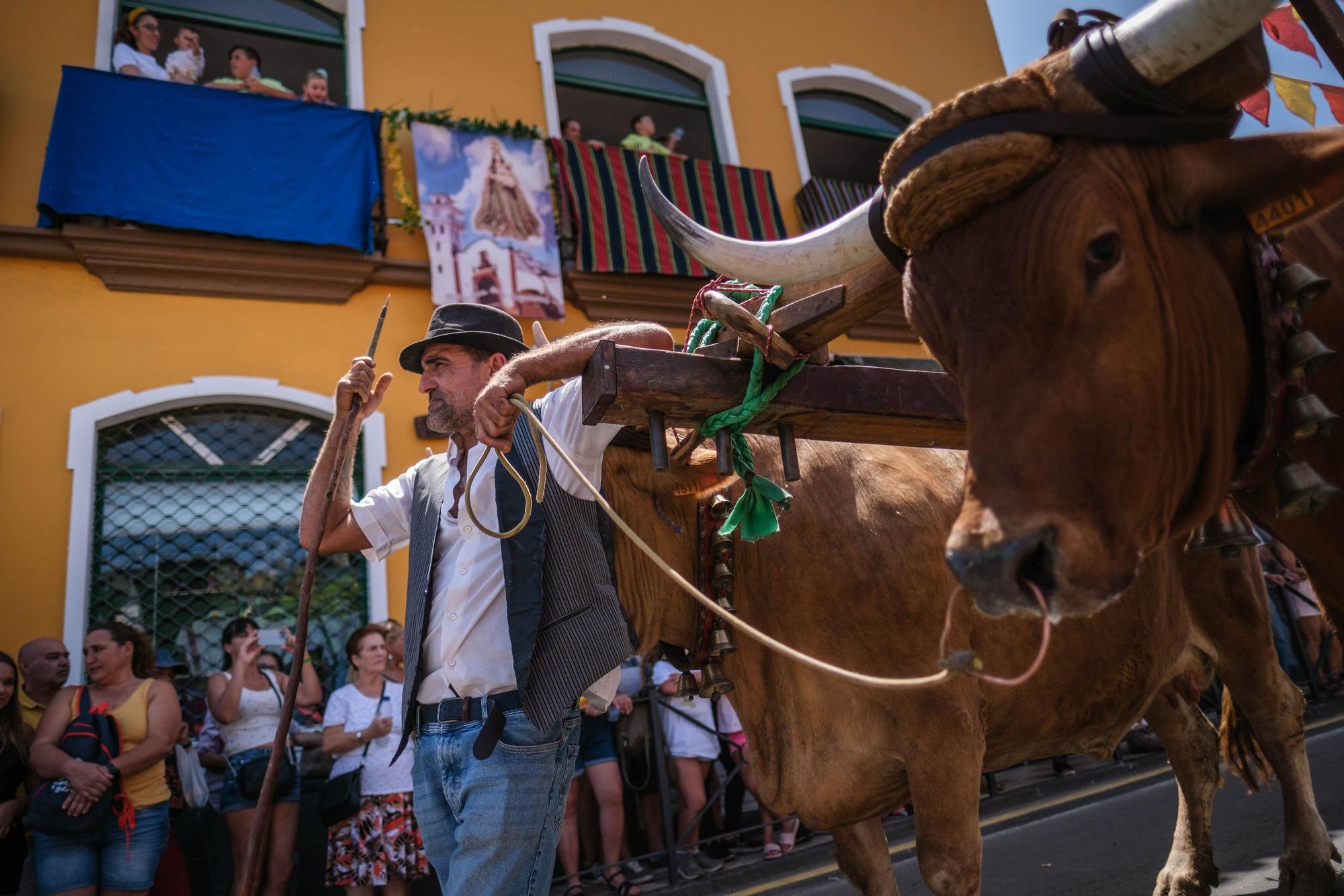 Romería de La Esperanza