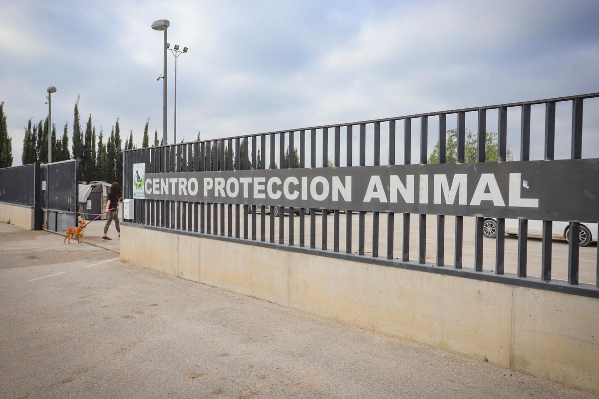 Centro de protección animal en San Bartolomé.