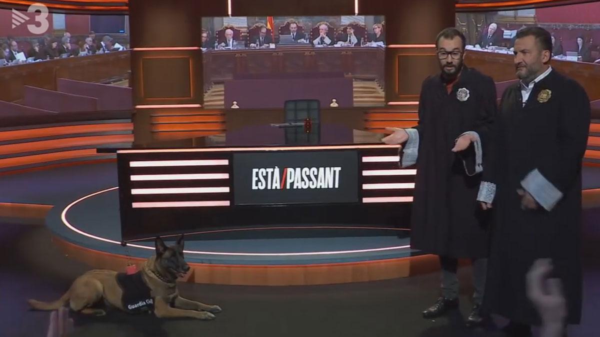 Toni Soler, vestido de juez, entrevista a un perro policía