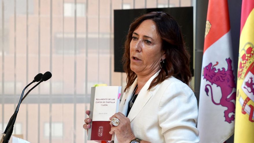 El PSCyL presenta alegaciones contra el acuerdo de la Mesa de las Cortes para reducir sus interpelaciones