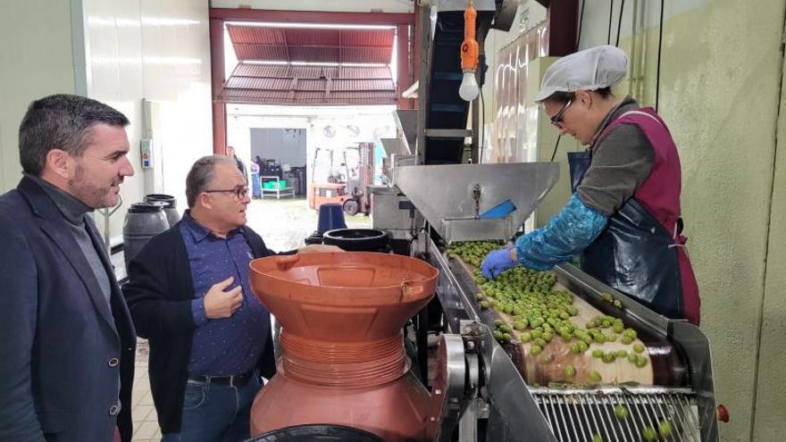 Antonio Luengo visita la empresa Aceitunas y Encurtidos Guillamón. | CARM