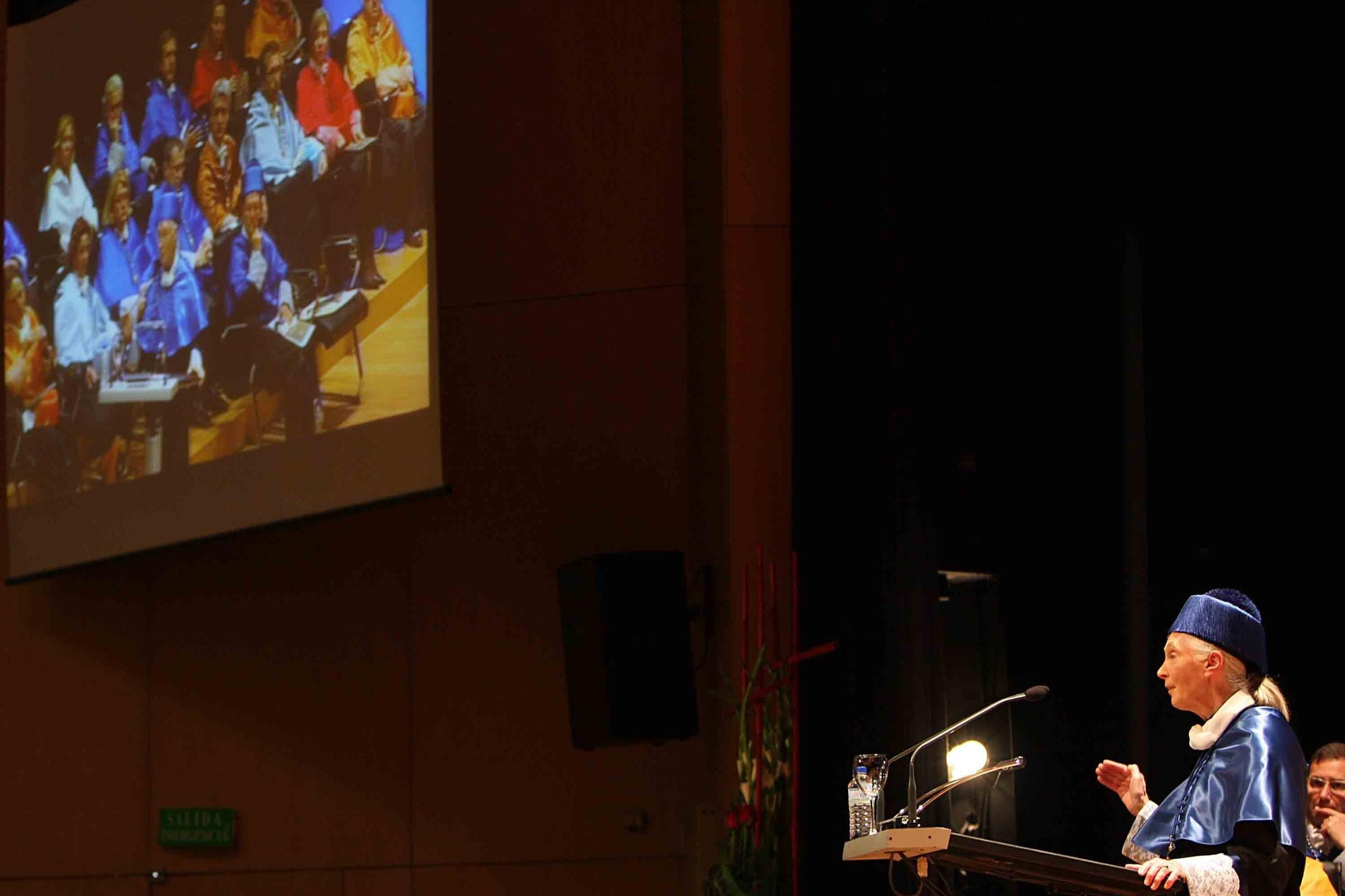 Fallece Jane Goodall, madrina de Primadomus y ‘honoris causa’ por la Universidad de Alicante