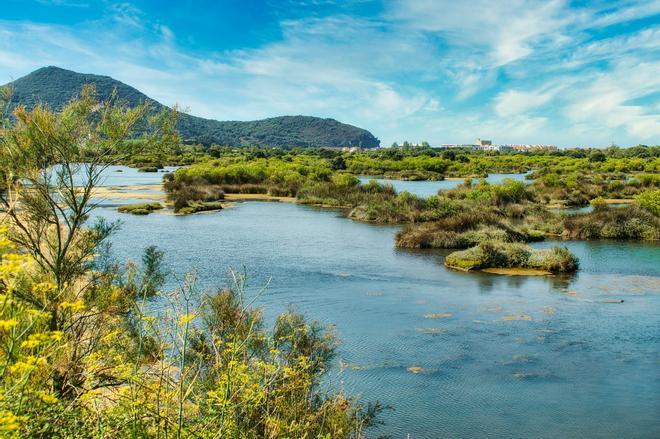 Parque Natural de las Marismas de Santoña, Victoria y Joyel, Los 5 mejores parques naturales de España para el avistamiento de aves migratorias