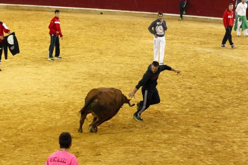 Vaquillas del 9 de octubre