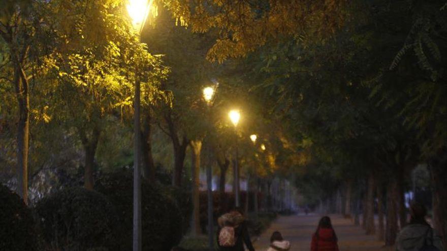 Luminarias en un parque de Córdoba.