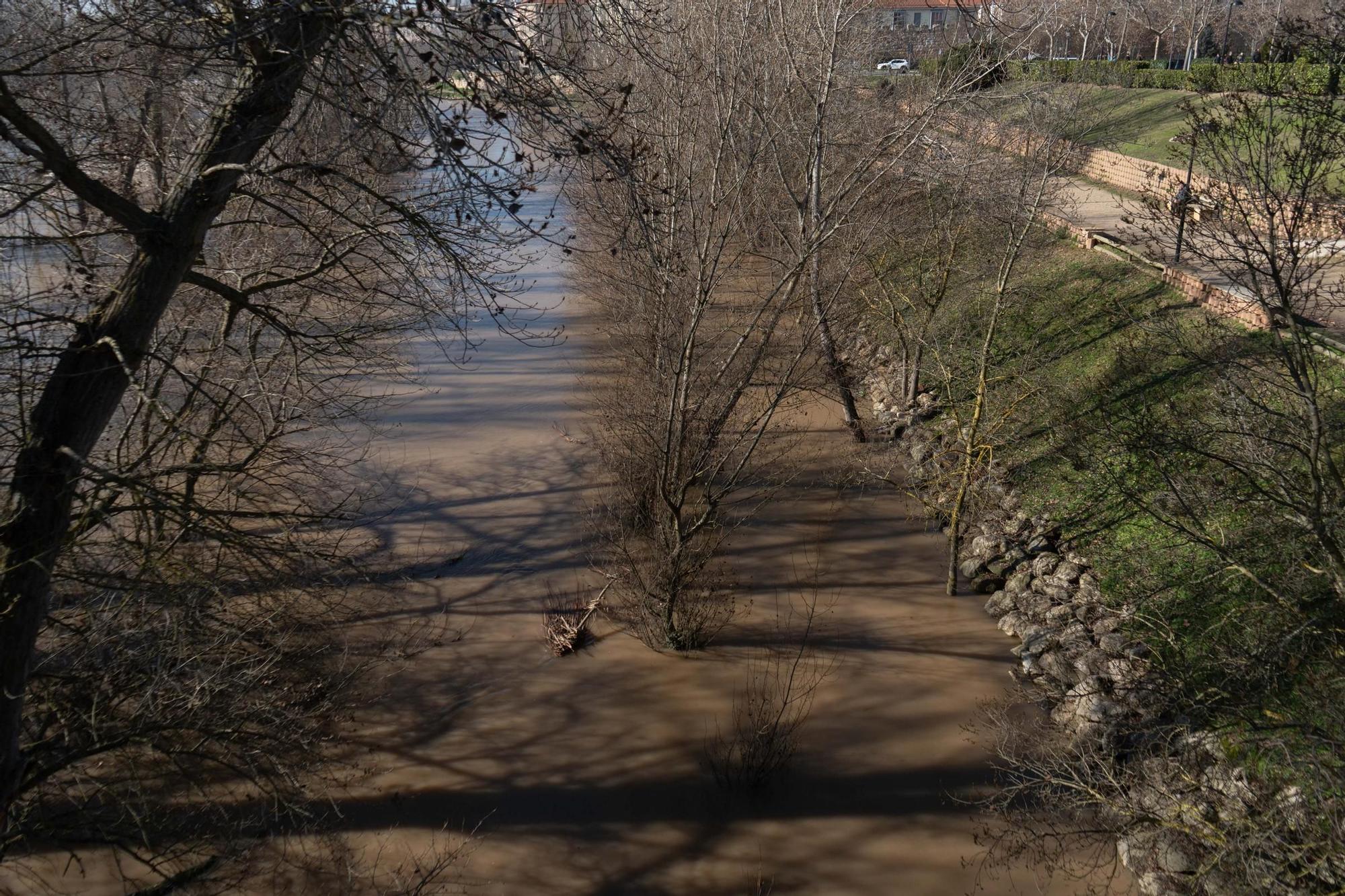 Crecida del río Duero a su paso por Zamora capital