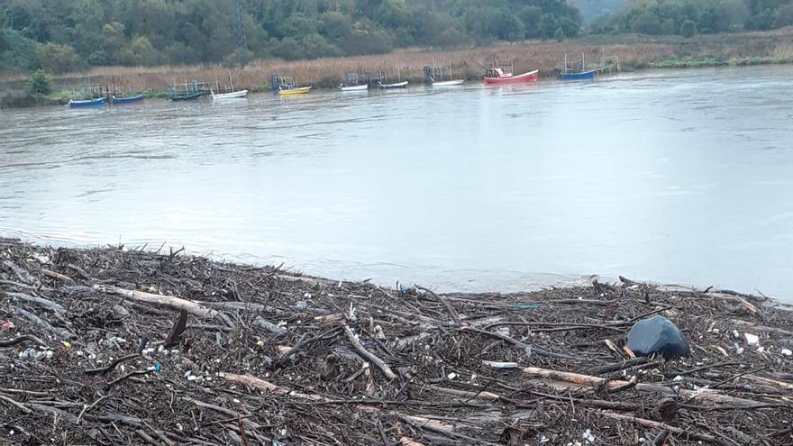 Los Quebrantos, en Soto, un mar de troncos por las riadas: &quot;El Gobierno debe asumir el coste de la limpieza&quot;