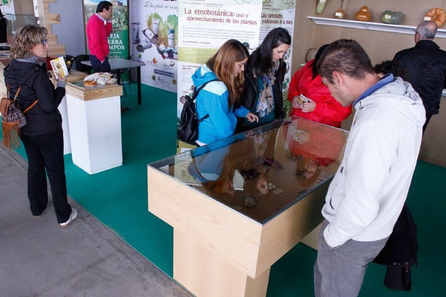 Ecocultura Zamora 2016