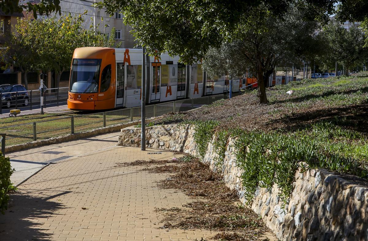 El TRAM circulando por la ciudad de Alicante