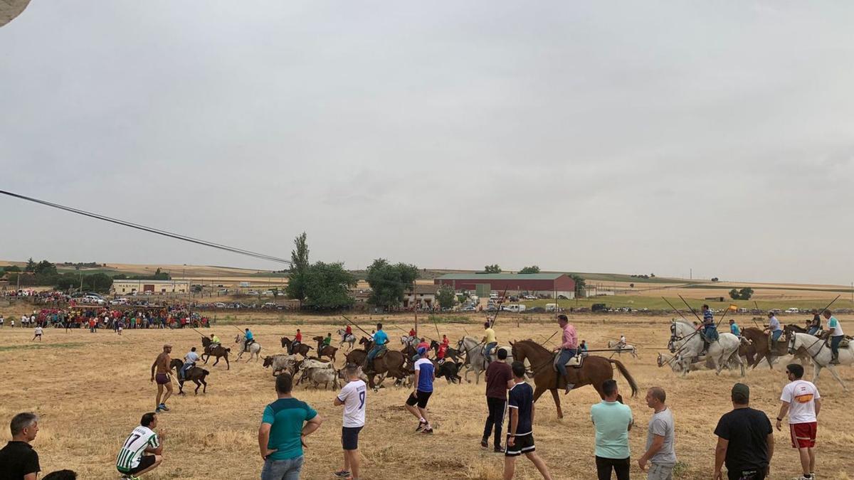 Distintos momentos del primer espante en la pradera de Guarrate con la participación de más de un centenar de caballistas. Abajo el desfile de peñas la tarde del viernes con el que comenzaron las fiestas patronales. | |  PAULA LOSA