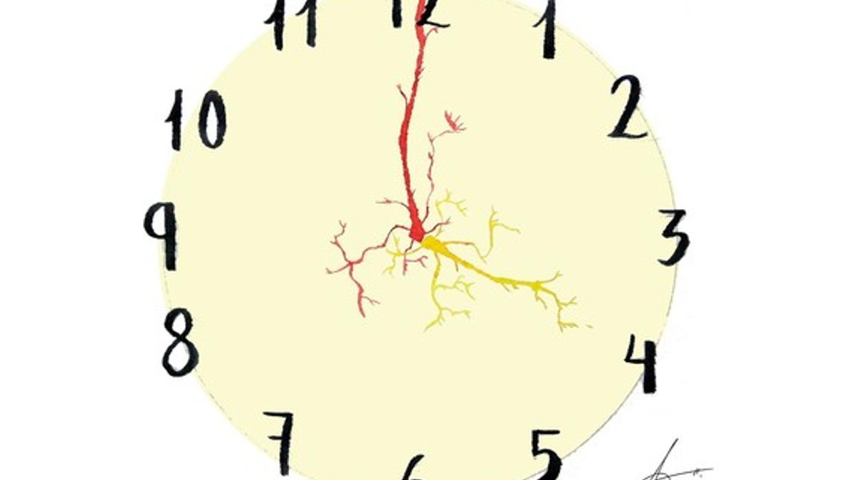 Tic-tac neuronal