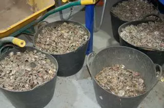Reciclaje pionero de cápsulas de café en la Costa del Sol