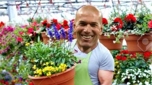 Los memes de la dimisión de Zidane