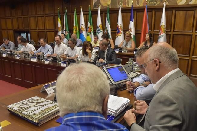 Reunión Cabildo - alcaldes para decidir los ...