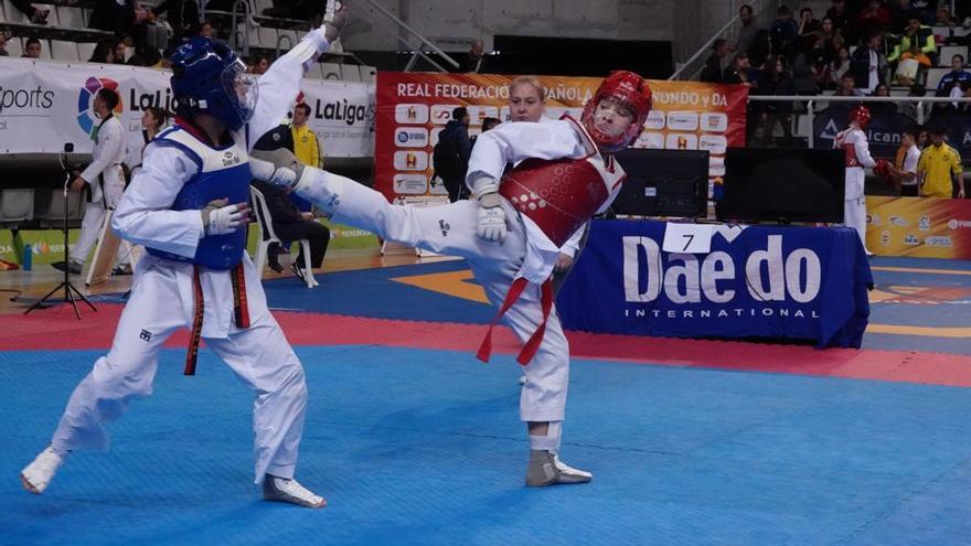 Fiesta del taekwondo español en Alicante