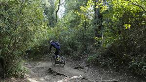 Batlle pide no ir a Collserola porque, con el calor, la situación es extremadamente crítica. En la foto, un ciclista en Collserola.