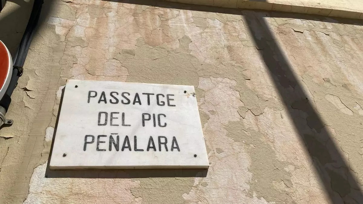 Los 'picos' de Son Gotleu: del Teide al Mulhacén sin salir de Palma