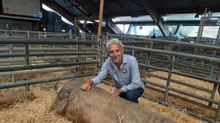 Javier García cría a los mejores gochos de Agrosiero: "son los atletas del monte"