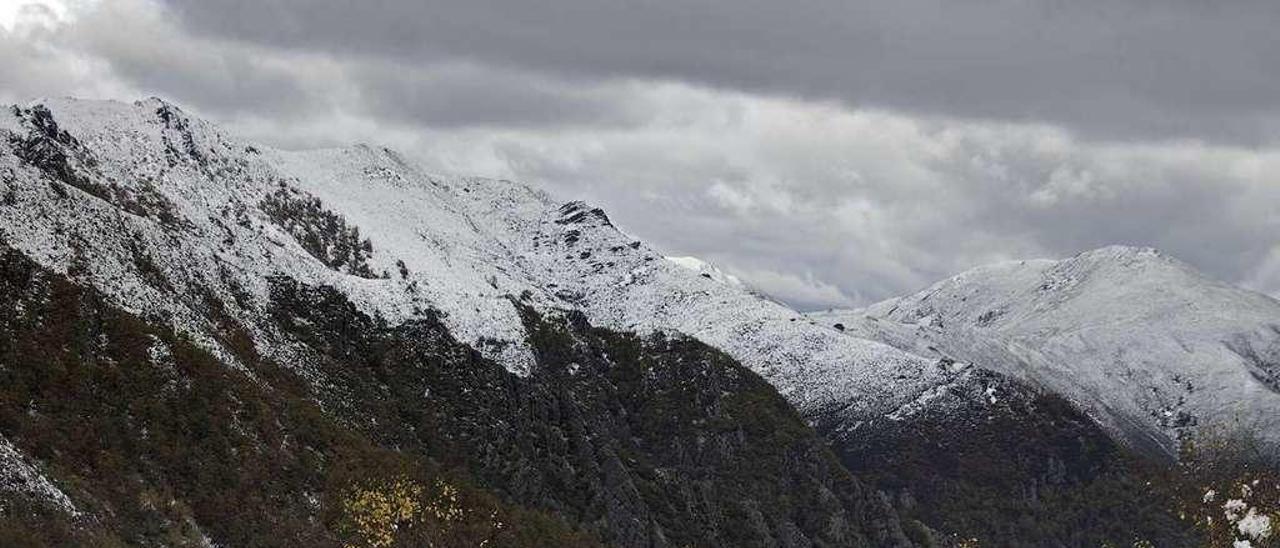 Abedular nevado en la ladera del pico del Connio, en la subida al puerto homónimo.