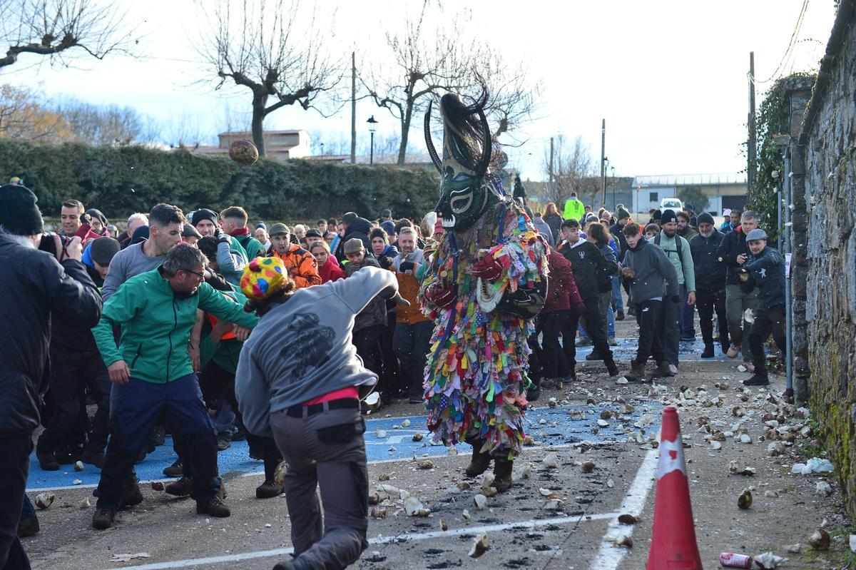 Fotogalería | Lluvia de nabos en Piornal para el Jarramplas