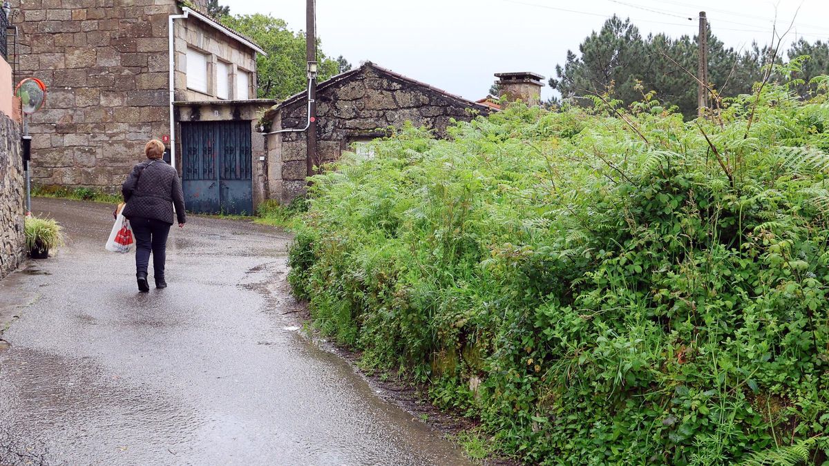 Casi 357.000 fincas sin limpiar son de dueño desconocido o ilocalizable
