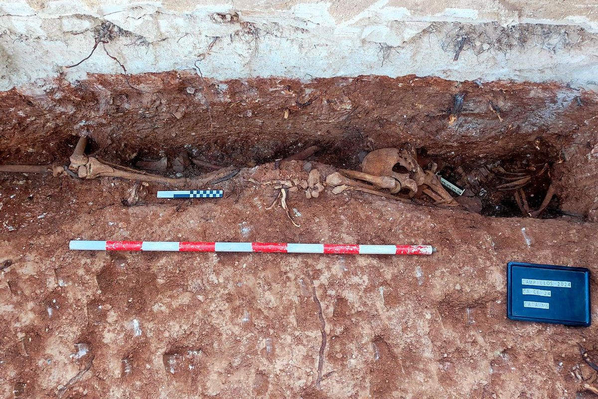 Restos óseos localizados en el cementerio de Campillos