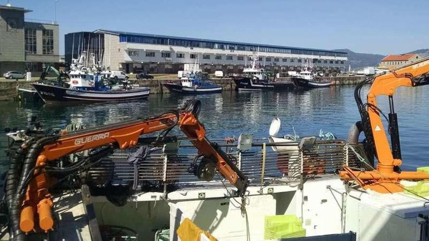 Cerqueros amarrados en el puerto de vigo esta semana. // A.A.