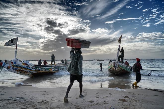 Nómadas, África