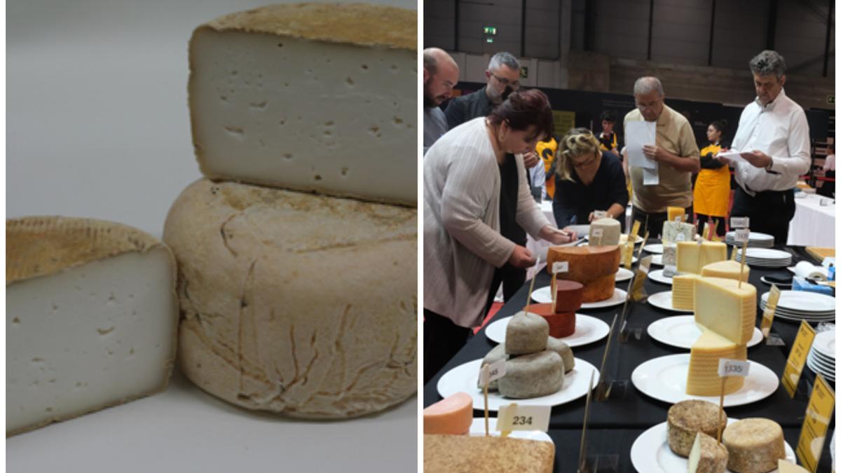 Un queso de Castellón, finalista entre los mejores de España