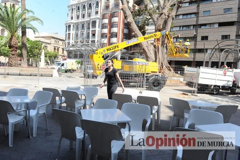 El estado final del ficus de Santo Domingo