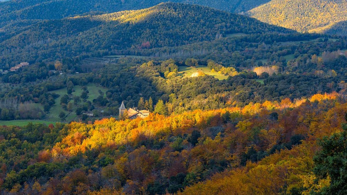 Viladrau, Montseny