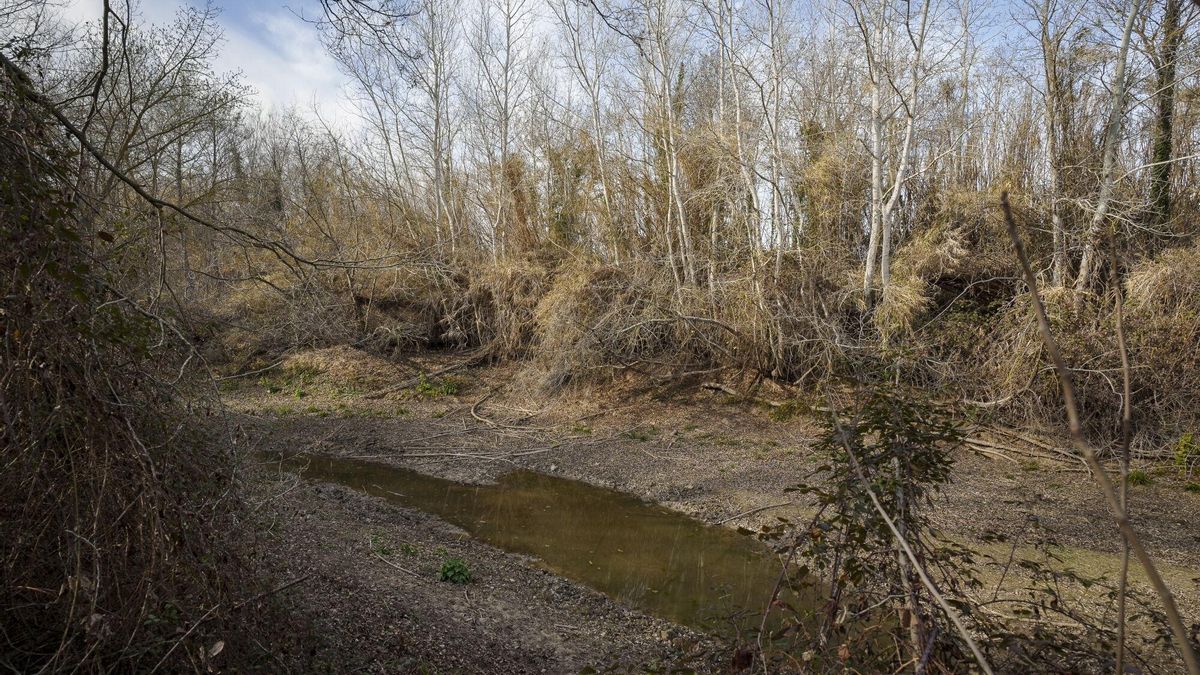 Aspecto, del río Muga a su paso por Peralada.