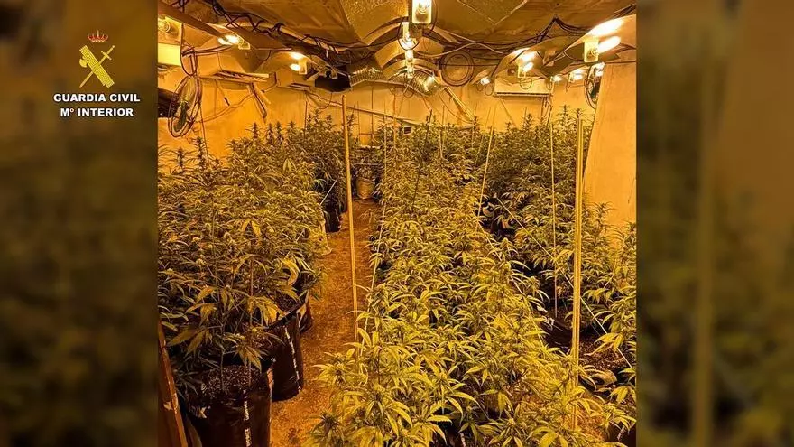La Guardia Civil desmantela una plantación ‘indoor’ de marihuana y detiene a tres personas en Córdoba