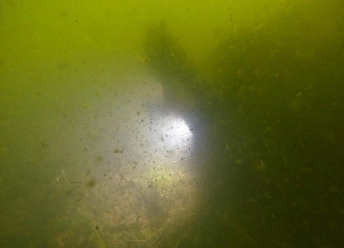 Cinco años después la ‘sopa verde’ sigue tiñendo la laguna | PEDRO GARCÍA/ANSE