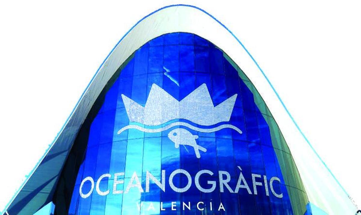 El Oceanogràfic cumple veinte 20 años cuidando la vida en los mares