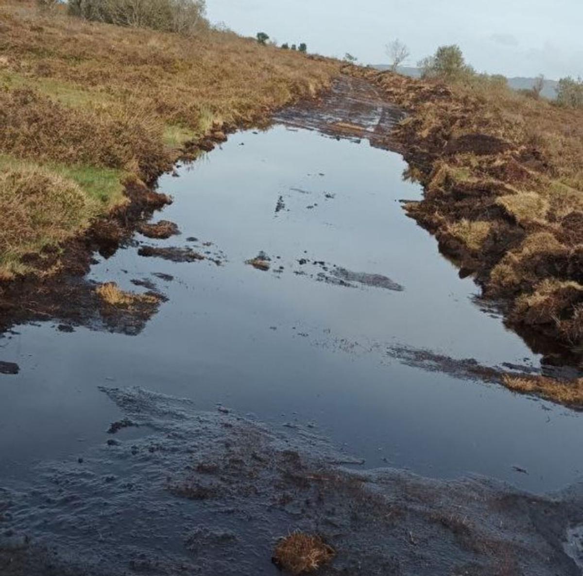 Otro lugar de especies protegidas alterado.