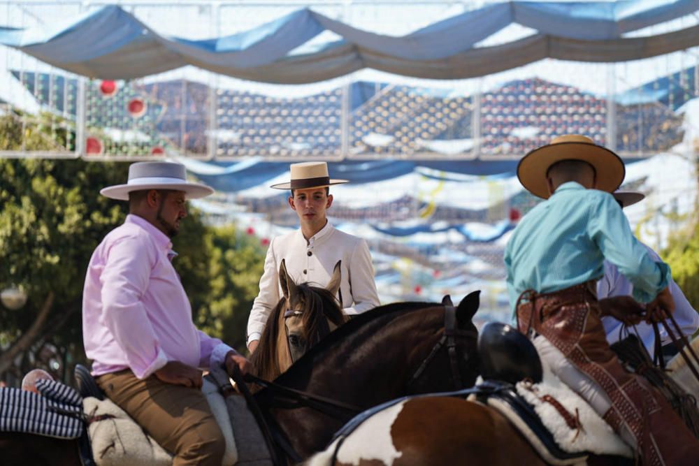 Primeros caballos en el Cortijo de Torres