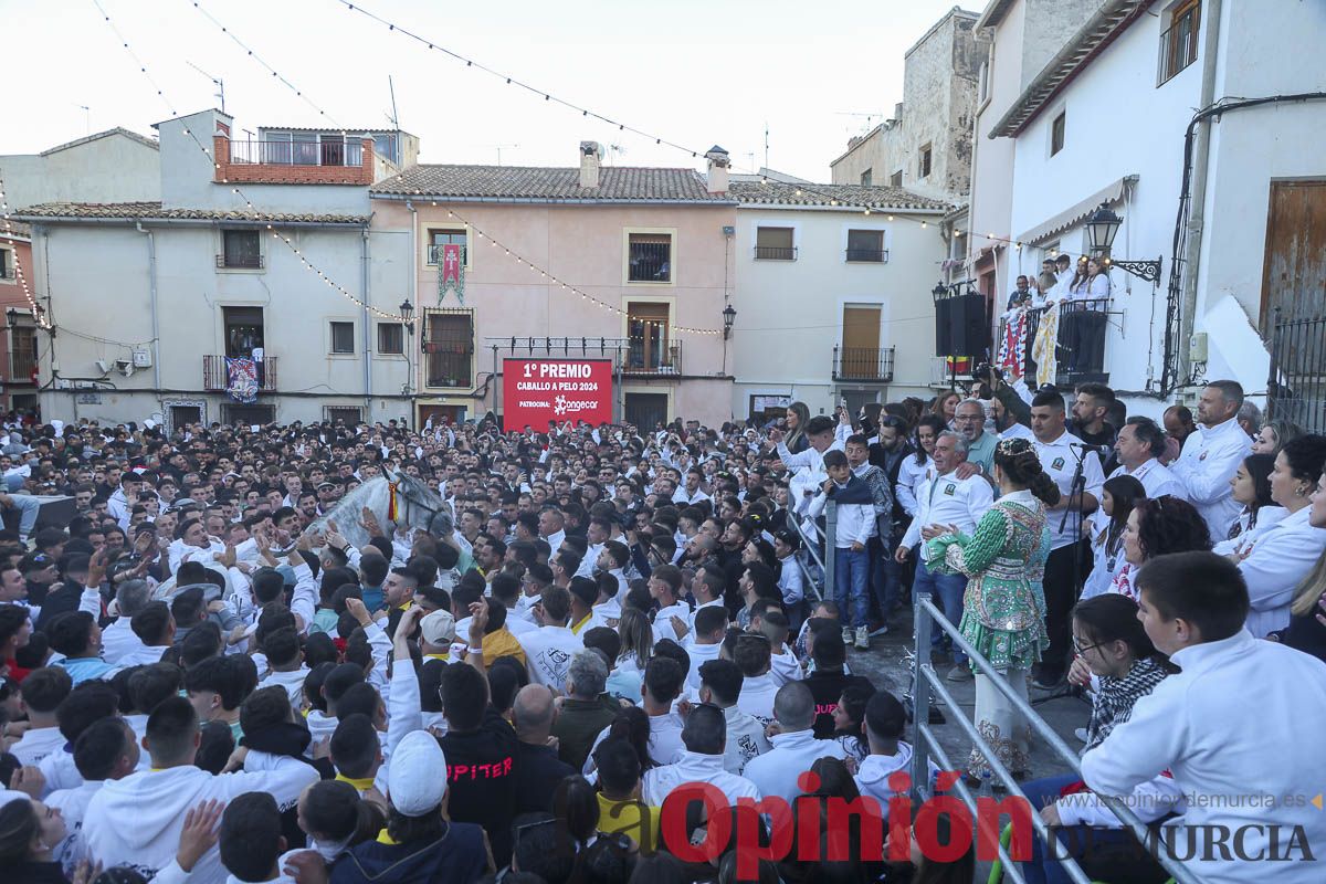 Entrega de premios del concurso de 'Caballo a pelo' en Caravaca