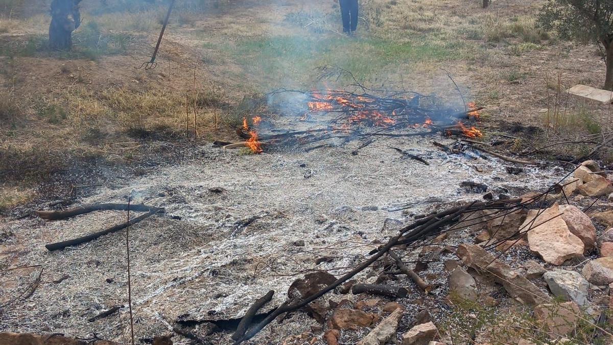Un agricultor realiza una quema pese a la orden que prohíbe esta práctica,  este martes en un campo de Castellón.