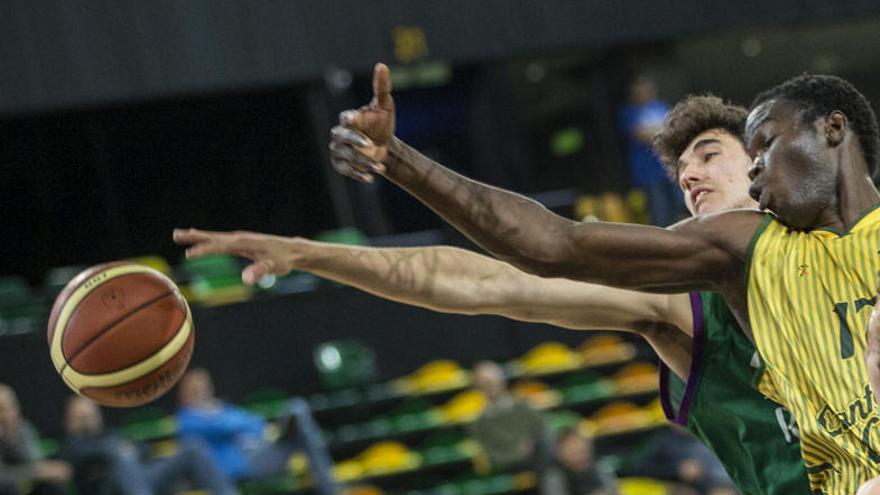 El Unicaja júnior jugará hoy los cuartos de final ante el CBA de Gran Canaria