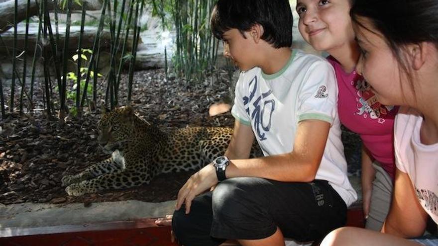 Bioparc, un parque zoológico verdaderamente atractivo.