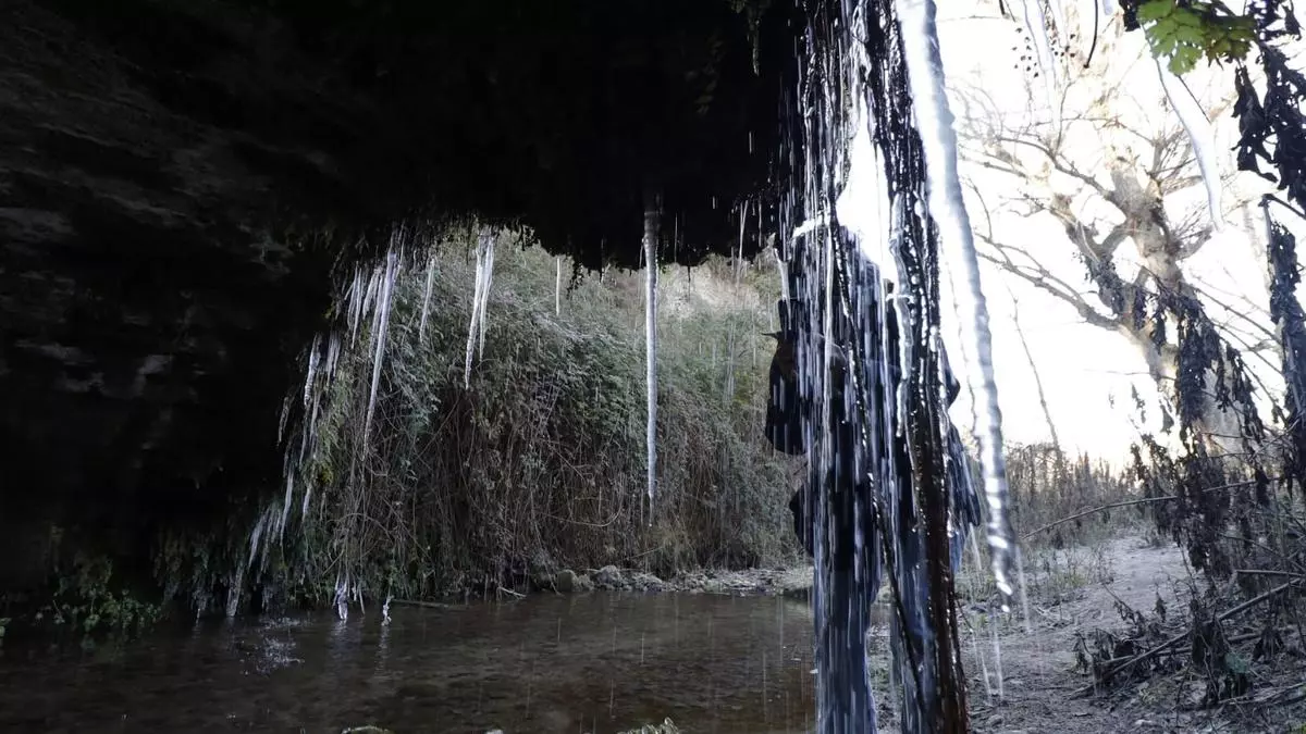 ¿De la noche más gélida en años a 20 grados en el litoral?