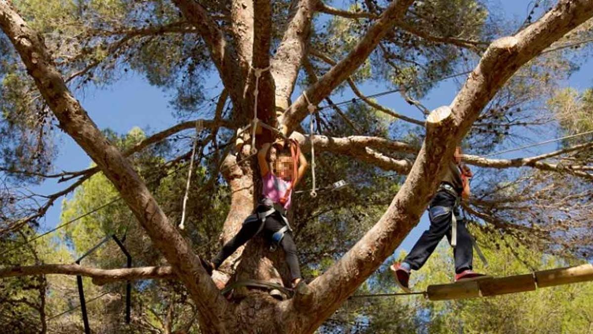 Las familias más aventureras pueden poner a prueba su equilibrio en Jungle Parc