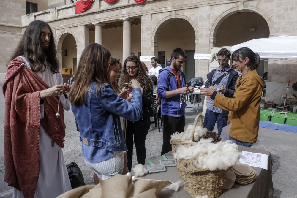 Festival Maremagnum en la Misericòrdia de Palma