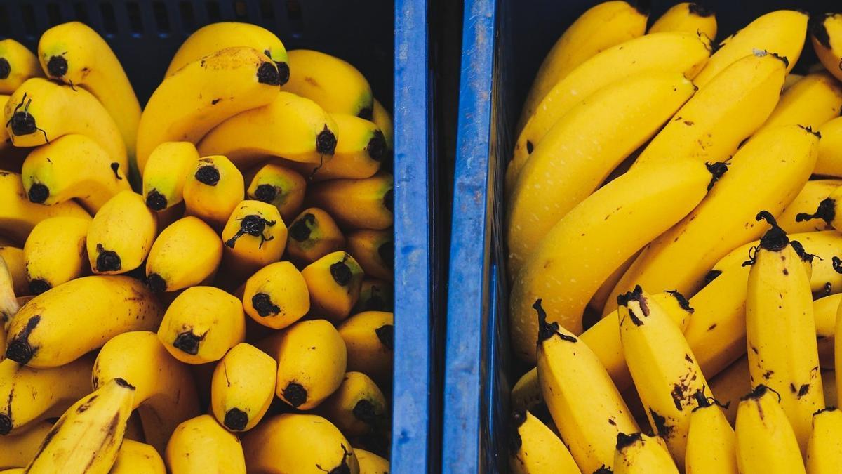 Platanos bananas