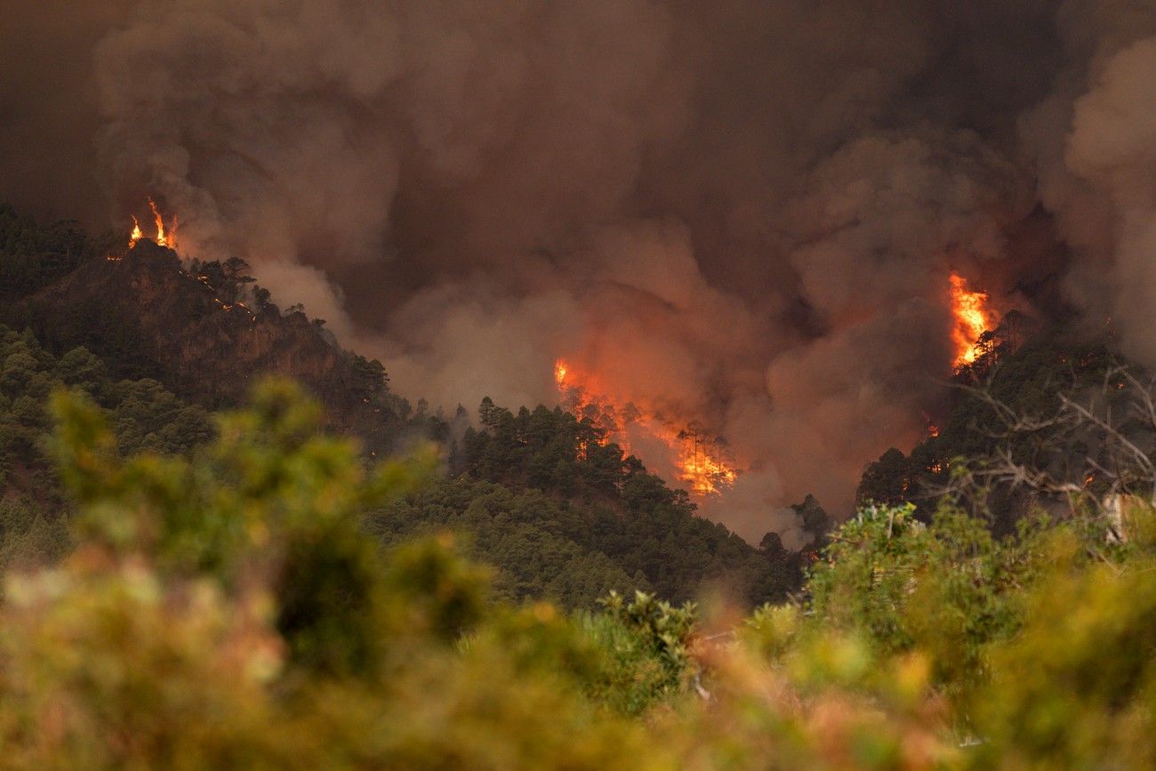 Incendio en Candelaria y Arafo, Tenerife