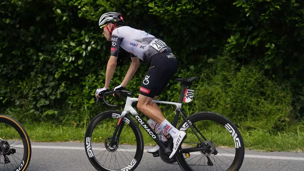 Una avispa aparta a Ayuso del Giro