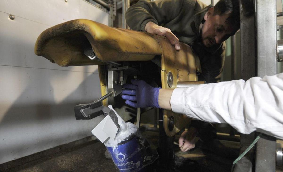 Los potros donde se realiza
la extracción. | Bernabé/ Javier Lalín