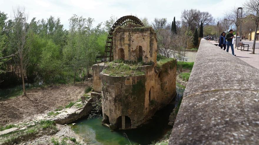 La noria de los Sotos de la Albolafia, un emblema de la ciudad que languidece y a la que no se puede acceder.