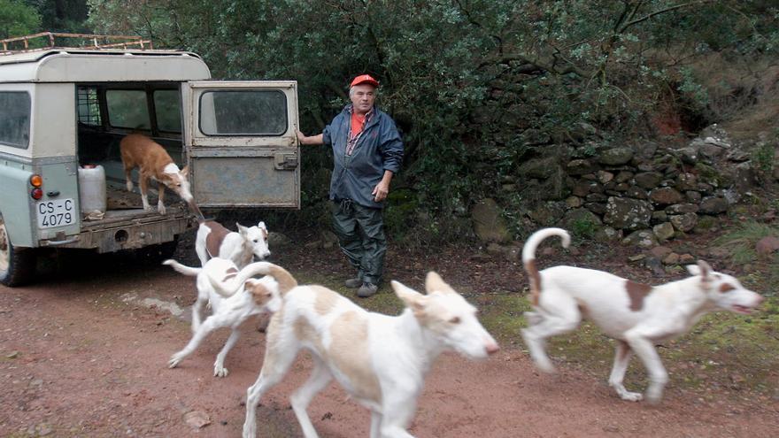 Sanciones de hasta 3.000 euros para quienes boicoteen las batidas de jabalíes